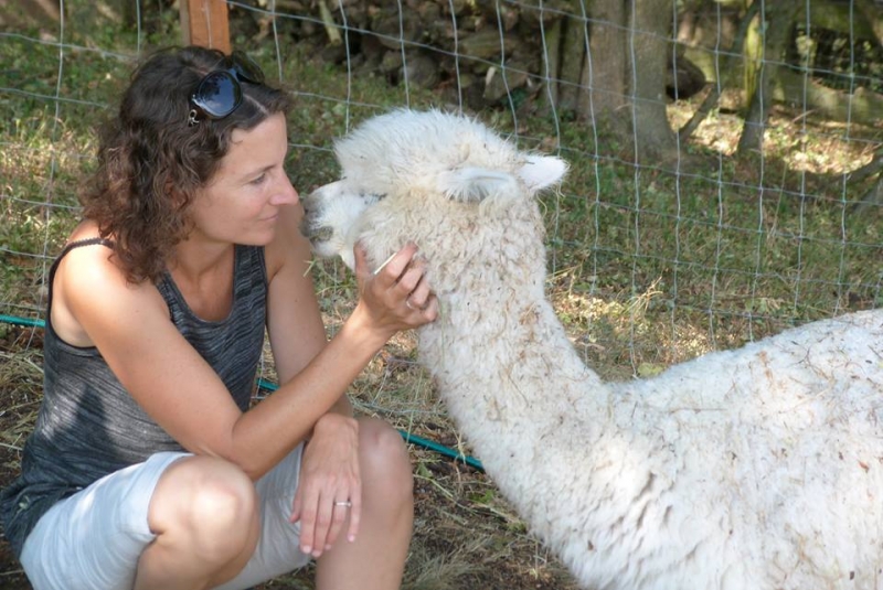 Lama und Alpakawanderung in Maria Anzbach auf sunny.at